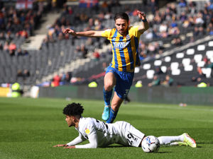 Supporting image for story: MK Dons 2-0 Shrewsbury - Report 
