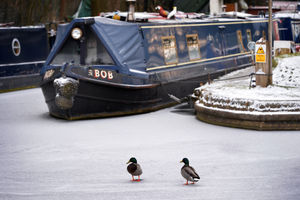 The frozen canal at Longwood boat club at Rushall top lock