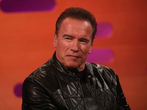 Supporting image for story: Arnold Schwarzenegger ‘fills in pothole which was actually a service trench’