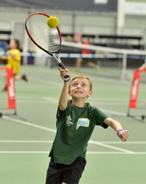 Youngsters take part in the Shropshire Homes School Sport Festival at the Shrewsbury Sports Village