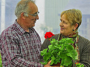 Supporting image for story: Shropshire garden centre goes on the market