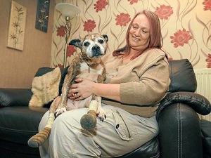 Supporting image for story: Life looking brighter for injured dog found in Sandwell