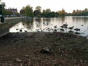 Supporting image for story: Wet weather on way to end Shropshire dry spell