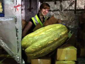 Supporting image for story: Giant squash in smuggled stash found at Birmingham Airport