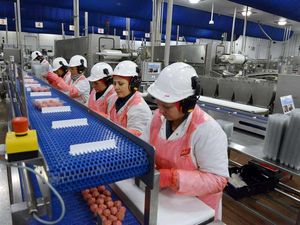 Supporting image for story: Shropshire food giant's new £25m abattoir officially opened