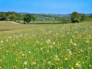 Supporting image for story: Shropshire weather: Hottest day of year so far could be heading our way