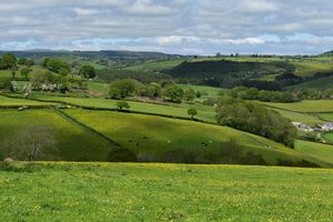 The Farmers’ Union of Wales (FUW) has called on the UK Government to deploy stronger security measures to combat the illegal import of meat to the UK following a confirmed case of foot-and-mouth disease in Hungary last week