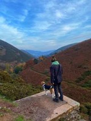 Puddle Duck Cottages at the Carding Mill Valley