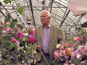 Supporting image for story: Award-winning Albrighton rose breeder David Austin dies aged 92