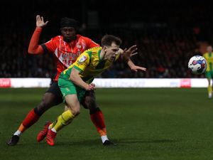 Supporting image for story: Walsall hoping for Eljah Adebayo cash