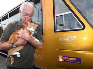 Supporting image for story: Stourbridge train named after much-loved ginger tom cat that prowls the station