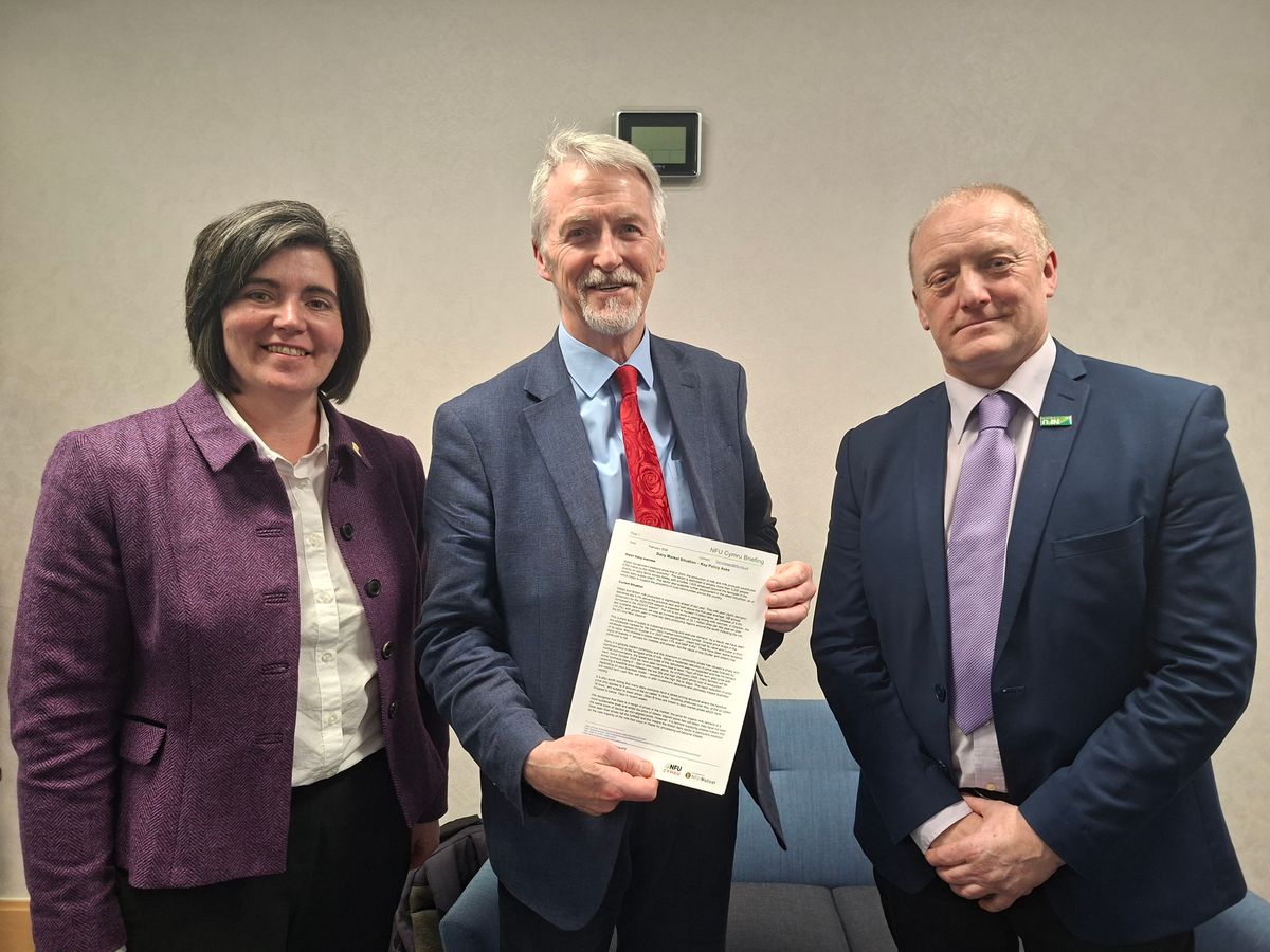 NFU Cymru asks Wales Deputy First Minister to take actions to protect the Welsh dairy industry’s long-term viability