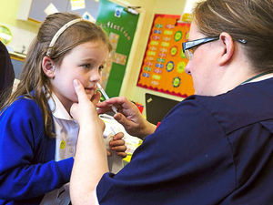 Supporting image for story: Nasal flu spray to protect pupils 'is painless', Shropshire parents told