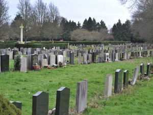 Supporting image for story: Funding hopes to breathe new life into Shrewsbury's 'hidden gem' burial ground