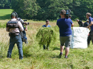 Supporting image for story: Countryfile presenter Matt Baker gets stuck in at Shropshire farm