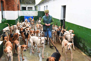 Huntsman Peter McColgan with the hounds