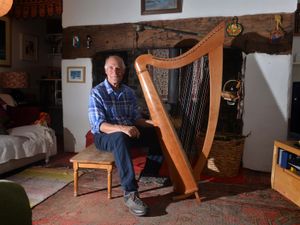 Supporting image for story: "I'm one of only a handful of harp-makers left in Britain and I'm based in south Shropshire"