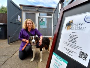 Supporting image for story: Lorna takes the stress out of grooming for dogs