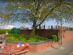 Supporting image for story: Copper thieves used protected tree to climb into factory yard several times - now it's being chopped down