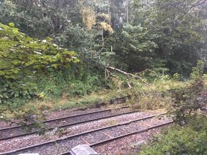 Train passengers were facing delays due to this fallen tree. Picture: @NetworkRailBHM 