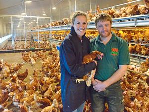 Supporting image for story: Mid Wales farmers return to eggs to boost business