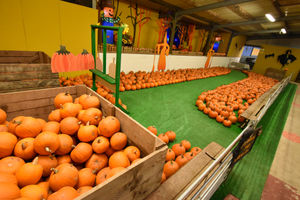 3,500 pumpkins are heading for Park Hall