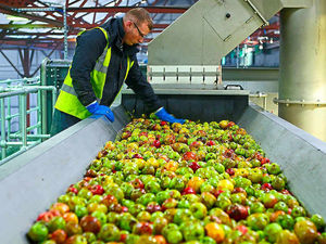 Supporting image for story: Stourport cider mill gets top marks