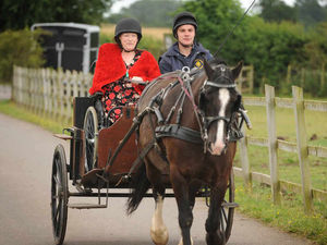Supporting image for story: Shropshire riding centre costs hit £1.8 million