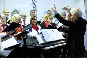 Some members of Dolau Mixtures Choir from near Llandrindod Wells were singing at the Winter Fair