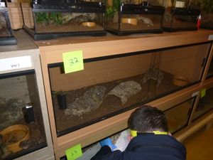 In total, 1,870 live animals at Cosford Grange Farm were seized by the police