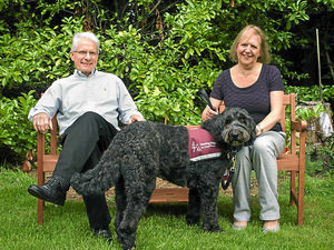 Supporting image for story: Hearing dog Henry is a lifesaver for Telford family