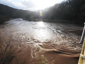 Supporting image for story: Natural England downgrades River Wye after wildlife decline