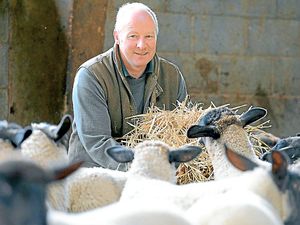 Supporting image for story: 'Three crop rule' relaxed and £6 million fund made available for farmers after flooding