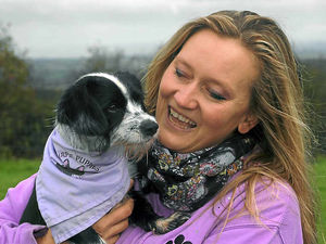 Supporting image for story: Doggy daycare leading the way in Shropshire