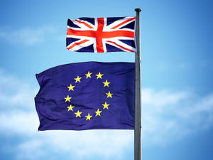 Supporting image for story: Access to the Single Market? The whole world is our market