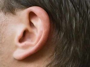 Supporting image for story: Letter: Only two syringes at Wellington Heath Centre?