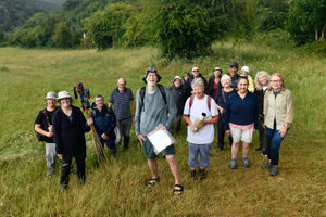  The Lodge Field and Beeches Fields Local Nature Reserves annual orchid count. Picture by DAVE BAGNALL