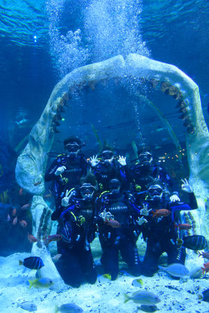 The cast of Unfortunate at Birmingham's Bear Grylls Adventure