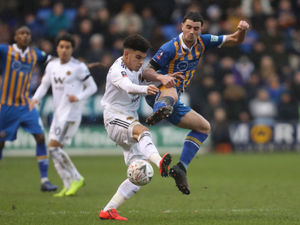 Supporting image for story: FA Cup: Shrewsbury 2 Wolves 2 - Report and pictures