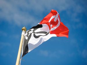 Supporting image for story: Labour-supporting union backs Black Country flag in racism row