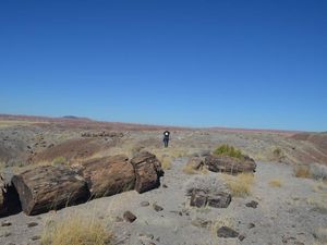 Supporting image for story: Scientists find ‘fingerprints’ of human global warming dating back to 1900