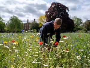 Supporting image for story: Britain set for summer temperatures over weekend before rain takes over