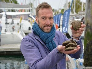 Supporting image for story