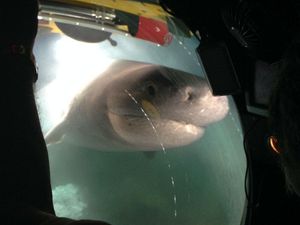 Supporting image for story