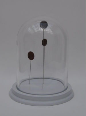 Artwork: Special Virtue
