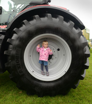 Isbella Row, aged 23 months, at Staffordshire County Show