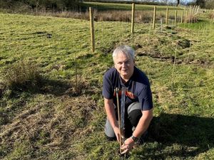 Supporting image for story: Shropshire tree planting scheme to end after more than 25,000 trees planted across county within five years