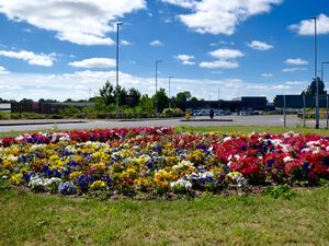 Supporting image for story: Floral treat for visitors to market town