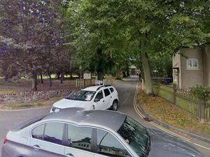 Supporting image for story: Wolverhampton park music festival for 3,500 sparks protests