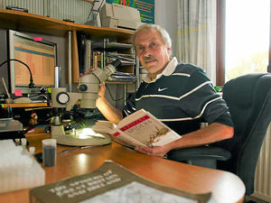 Supporting image for story: Call for calm over Shropshire sightings of false widow spiders